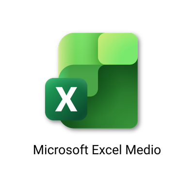 Microsoft Excel Medio